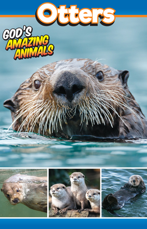 Otter sharing Tract for kids.